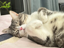 pidan猫抓板 直角款 瓦楞纸猫窝耐磨猫玩具 实拍图