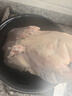 正大 精选樱桃谷鸭 煲汤鸭卤味烧烤食材 樱桃谷鸭1.9kg（简包）*1袋 实拍图