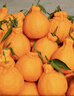 生活＆好管家四川丑橘不知火特大果新鲜水果桔橘子丑柑丑八怪整箱 4.5-5斤【超划算】净重4.5斤 果径80-85mm【大果】 实拍图