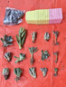 懋扬多肉植物室内小盆栽精品玉树高端多肉大颗株好养花卉绿植阳台客厅 15颗多肉随机+15个小盆+营养土 实拍图
