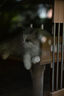 腾龙（Tamron）A063Z 28-75mm F/2.8 Di III VXD G2 大光圈标准变焦 尼康全画幅微单镜头 风光人像（尼康Z卡口） 实拍图