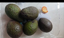 京鲜生 秘鲁进口牛油果巨无霸果6粒装 单果180g+(非即食)  新鲜水果 实拍图