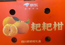 【整箱】四川耙耙柑整箱2.5kg 实拍图
