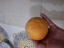 逮果重庆奉节脐橙纽荷尔春橙福本特级大果礼盒装时令新鲜孕妇水果橙子 净重4.5斤中果/65-70mm/12-15个 实拍图