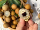 三萌果蔬广东石硖储良龙眼【顺丰冷链-多地隔日达】新鲜龙眼桂圆礼盒送礼 3斤石硖龙眼【较划算】净重2.6斤 【顺丰】7A级|特级果【自吃推荐】 实拍图