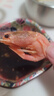 美加佳头籽熟冻北极甜虾净重3斤 规格80/100 头籽率50% 熟冻 海鲜水产 实拍图