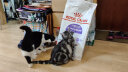 皇家绝育成猫粮 SA37通用粮 1-7岁10KG 实拍图