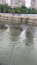 盛河 小驹实心马口竿UL软调路亚竿碳素白条竿直枪柄杆水滴轮套装 1.68m 小驹UL调直柄 实拍图