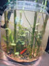 森森（SUNSUN）鱼缸过滤器壁挂式过滤泵水族箱乌龟缸三合一过滤设备 HBL-301 2W+升级豪华过滤套餐 实拍图