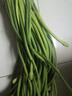 新鲜长蒜苔长度30cm粗细适中色泽饱满高品质蒜苔手感光滑 新鲜长蒜苔 500g 实拍图