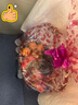 京东鲜花11朵粉玫瑰花束香皂花康乃馨生日礼物中考礼物毕业送老师女友老婆 实拍图