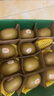 佳沛（zespri）新西兰 阳光金奇异果12粒礼盒特大果单果约122-146g 猕猴桃 水果 实拍图