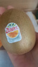 佳沛（zespri）新西兰 阳光金奇异果12粒礼盒特大果单果约122-146g 猕猴桃 水果 实拍图