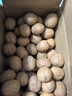 绿岭 火猴 2024年薄皮原味生核桃   坚果礼盒休闲零食 1kg原果/箱 实拍图