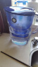 九阳（Joyoung）过滤净水器 家用滤水壶 净水壶（一壶13芯 ） 3.5L 四重过滤 智能换芯提醒 B05E 实拍图