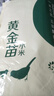 一禾谷香 黄金苗黄小米5斤 五谷杂粮粗粮东北黄小米粥米月子米 实拍图