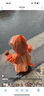 kocotreekk树儿童雨衣宝宝男童女小学生小童雨披幼儿园雨具分体斗篷式 实拍图