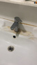 莱尔诗丹（Larsd）面盆水龙头 冷热水卫生间浴室柜黄铜龙头洗脸盆洗手盆龙头F071 实拍图