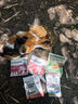 网易严选全价猫粮 宠物主粮幼猫成猫全价粮猫咪食品 深海鱼虾口味50g*2 实拍图