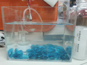 阿拖（ATUO）鱼缸造景蓝色腰果350g+水草造景套装小鱼缸摆件水族箱树脂装饰 实拍图