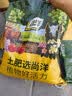 尚洋稻壳炭5L 盆栽植物花肥料透气活化调节土壤酸碱种植营养土基质土 实拍图
