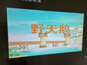 VEEMI投影仪家用家庭影院超高清投影白天直投办公会议投影仪教学培训卧室小型宿舍投影一体机手机投屏 【高亮超清旗舰版】超高清/画面自动调整 实拍图