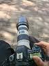 佳能Canon EF16-35 24-70 70-200mm二手单反镜头 大三元红圈广角中长变焦镜头 EF 70-200 F4L IS USM 单镜头【套餐更划算】 99成新 实拍图