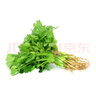 带根香菜100g 实拍图