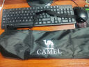 骆驼（CAMEL）登山杖手杖碳素纤维轻便伸缩折叠铝合金徒步爬山拐棍老人防滑拐杖 徒步游玩 铝合金-直柄 薇紫色D41-1C 均码 实拍图