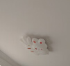 雷士（NVC）LED吸顶儿童灯卧室现代氛围装饰高显男孩女孩礼物萝卜兔包安装 实拍图