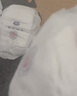 名典泰迪一体拉拉裤4XL46片【18-21kg】婴儿尿不湿超薄干爽尿裤男女宝通用 实拍图