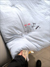 皇朝家私被子 双人家用大豆纤维被芯 A类春秋冬被 6斤200*230cm 实拍图