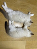 卫仕猫用A2亲和配方羊奶粉200g小猫宠物新生猫羊奶粉营养速补帮助成长宠物营养品猫咪羊奶粉 实拍图