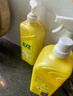 斧头牌（AXE）柠檬鸭屎香果蔬餐具净洗洁精1.01kg*3（泵+补补）6大零添加 实拍图