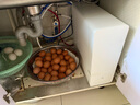 京东京造净水器家用净水机灵犀800GPro2.0陶氏RO反渗透无阻垢剂母婴直饮厨下直饮机净饮机一体家电国家补贴 实拍图