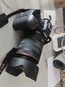 佳能（Canon）r6二代/r6三代全画幅微单相机 vlog视频数码高清R62代 EOS R6 Mark II专业微单 R6二代+RF24-105 STM镜头套机 官方标配【不含内存卡基础配件 推荐购 实拍图