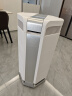 艾泊斯（AirProce）空气净化器AI-600家用除菌除甲醛消除异味除过敏原雾霾二手烟宠物除臭 实拍图