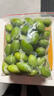 鲜级佳2025新鲜橄榄正宗青橄榄果生青果福建闽清檀香榄煲汤回甘水果现摘 250g 实拍图