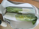 诸氏橙品【有机】西芹 可榨汁芹菜 生食沙拉食材炒菜百搭新鲜有机叶菜 有机西芹2.25KG-家庭惠享 实拍图