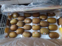 佳沛（zespri）新西兰金果巨大果22粒原箱猕猴桃单果约144-175g端午节水果礼盒 实拍图