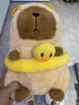 乐英奇夏日超萌卡皮风情巴拉水豚玩偶公仔可爱毛绒玩具女生女孩生日礼物 泳圈款 25cm 实拍图
