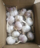 京鲜生山东金乡大蒜带皮新鲜干蒜净重1斤单果5.5-6cm 源头直发包邮 实拍图