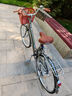 凤凰 自行车男女脚踏代步单车成人轻便学生车城市复古通勤休闲车 青柠 24寸单速黑色 实拍图
