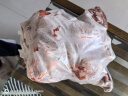 芈羊羊 宁夏滩羊肉分割半羊净重10斤礼盒羊肉生鲜烧烤食材清真源头直发 实拍图