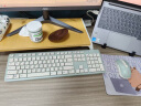 CHERRY樱桃DW2300 键盘无线键鼠套装键盘鼠标商务办公家用笔记本电脑外接全尺寸轻音便携人体工学 清新绿 实拍图