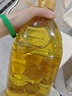 苍茫谣（CangmangYao）芥花油非转基因低芥酸菜籽油4.11L食用油呼伦贝尔农垦国企出品 实拍图