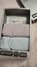 蕉内（Bananain）银皮311S女士内裤纯棉7A抗菌条纹透气中高腰少女无痕三角礼盒3件 【中腰】粉紫+雾蓝+清夕 3条 2XL 实拍图