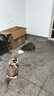 hoopet猫玩具猫薄荷球自嗨解闷磨牙洁齿神器猫猫小猫逗猫棒宠物猫抓板猫咪用品大全超大啃咬逗猫球 10cm猫薄荷球  自嗨利器 实拍图