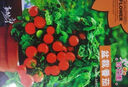 【京东物流】番茄种子盆栽番茄阳台盆栽农家田园大全各种各样 黄妃2号番茄种子2包约400粒 实拍图