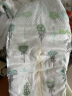 好奇（Huggies）心钻装小森林纸尿裤XL32片(12-17kg)加大号婴儿尿不湿超薄透气 实拍图